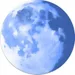 Pale Moon  25.0.2