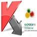 Kaspersky TDSSKiller Rootkit Removal Utility  2.8.13